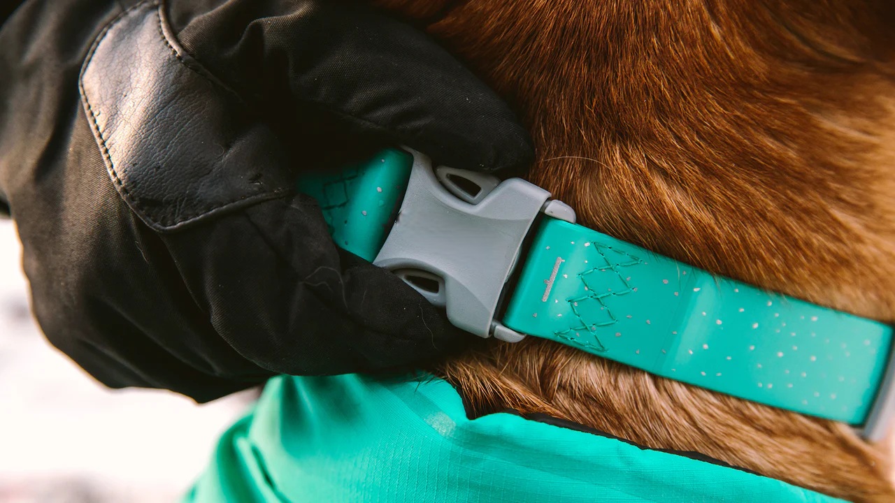 Applications of Sunmolin’s Coated Webbing in Fashion and Industrial Design