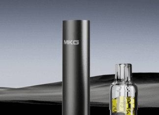 How Would You Explain the Basics of the Pod System in Vaping?