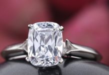 Round vs. Princess Cut: Selecting the Ideal Ring for Your Engagement