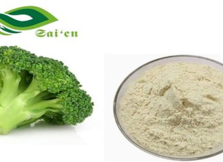 Why Sulforaphane Powder is a Must-Have for Your Anti-Inflammatory Supplement Stack