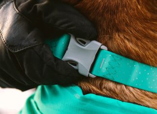 Applications of Sunmolin’s Coated Webbing in Fashion and Industrial Design